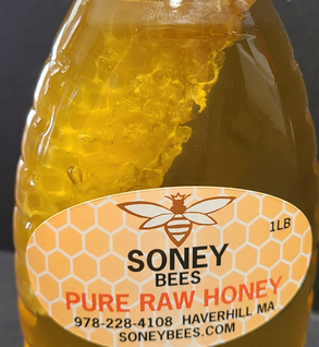Chunk Honey-16oz