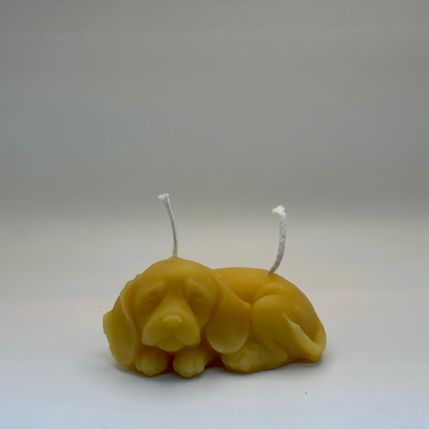 Dog Candle 100% Beeswax