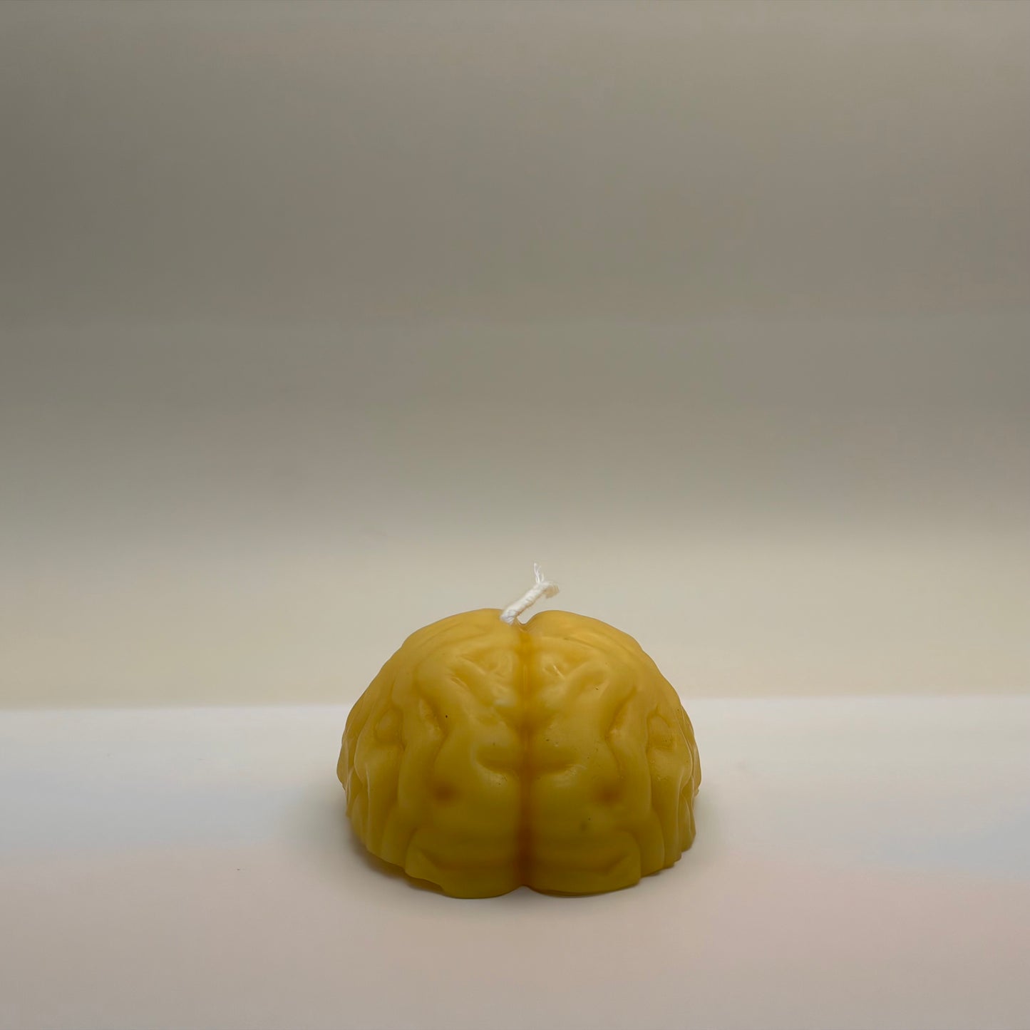 Brain Candle