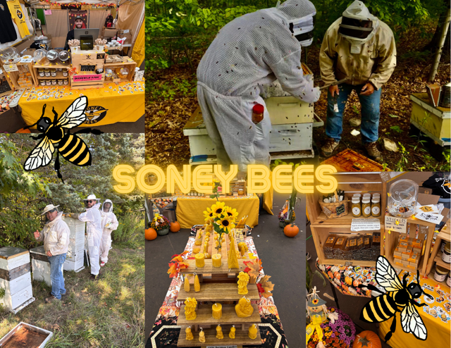 Beginner Beekeeping Class