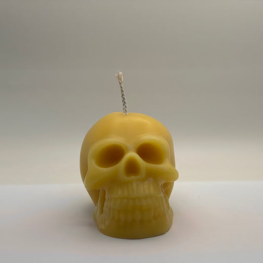 Skull Candle