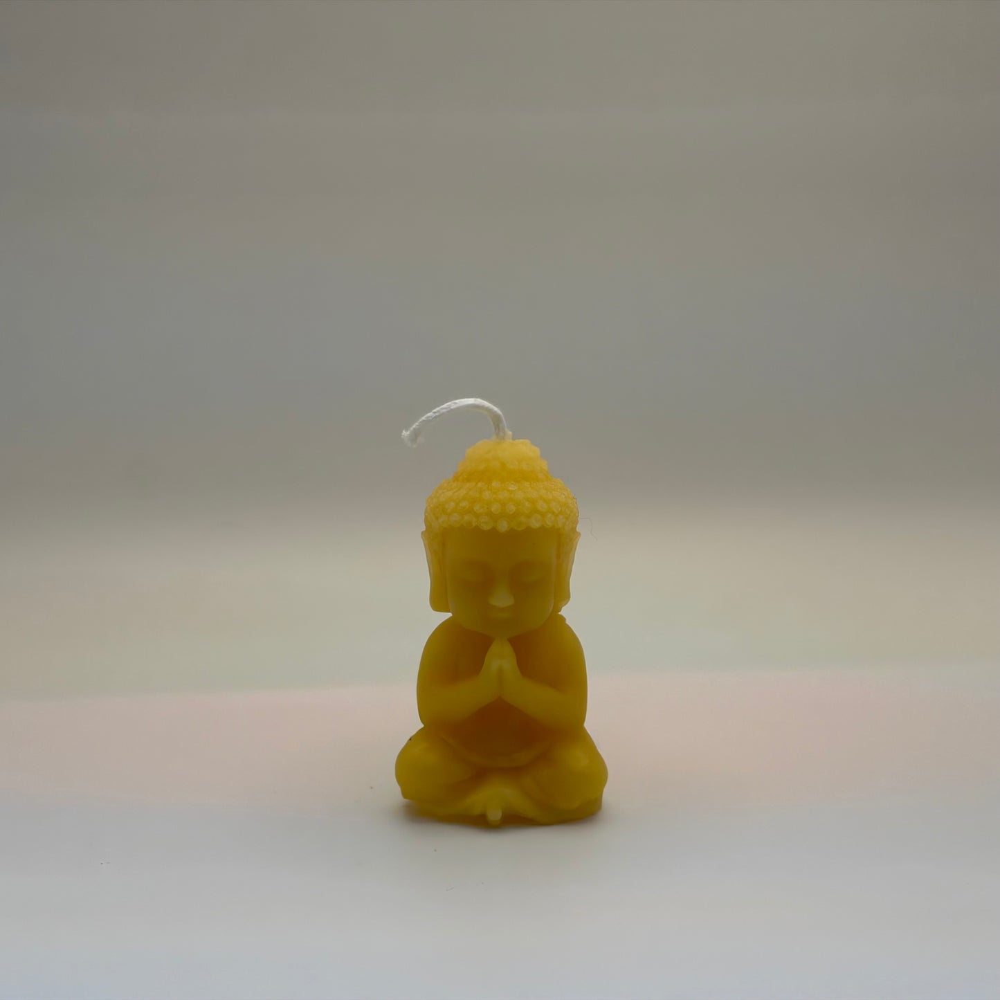 Praying Buddha