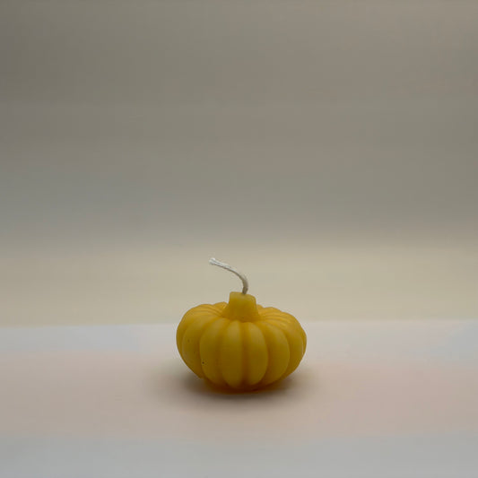 Small Pumpkin