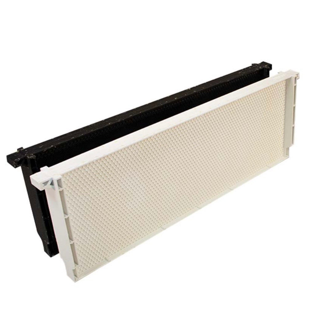 Medium Plastic Frame w/Heavy Wax