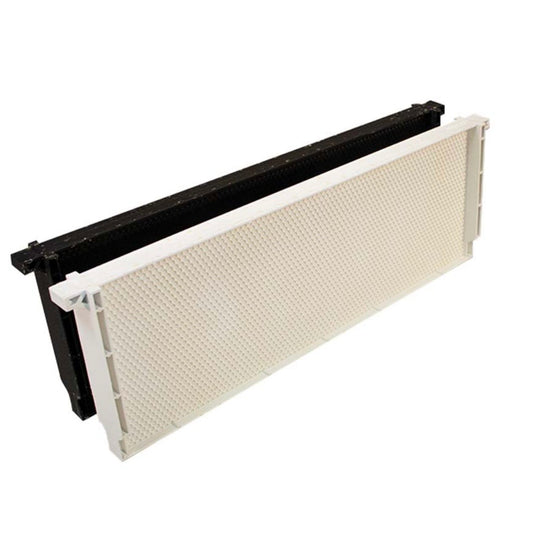 Medium Plastic Frame w/Heavy Wax