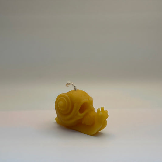 Skull Snail Candle