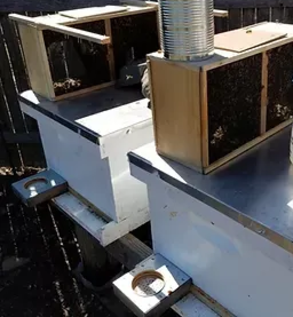 Complete Hive W/Bees