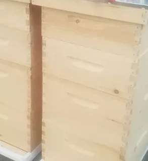 Complete Hive-Unpainted